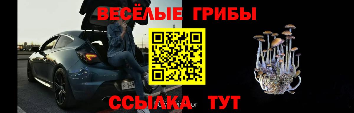 Галлюциногенные грибы прущие грибы Югорск